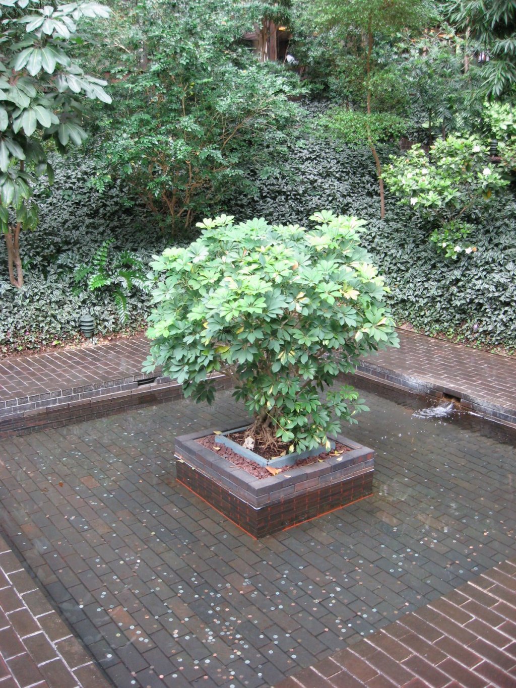 “Social Science, Cultural Imperialism, and the Ford Foundation in the 1960s,” in The Global&nbsp;1960s