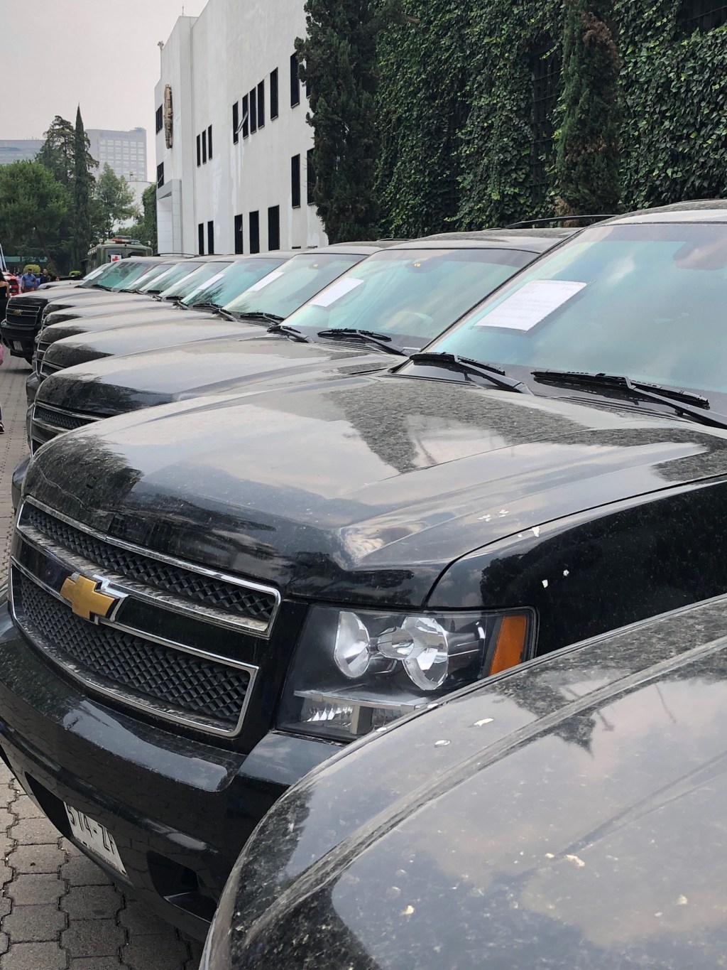 Year One of AMLO’s&nbsp;Mexico